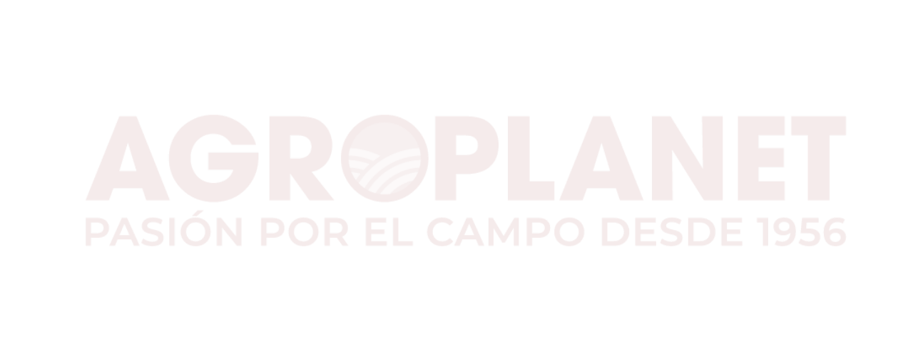 Diseño sin título - 2026-07-12T164950.332